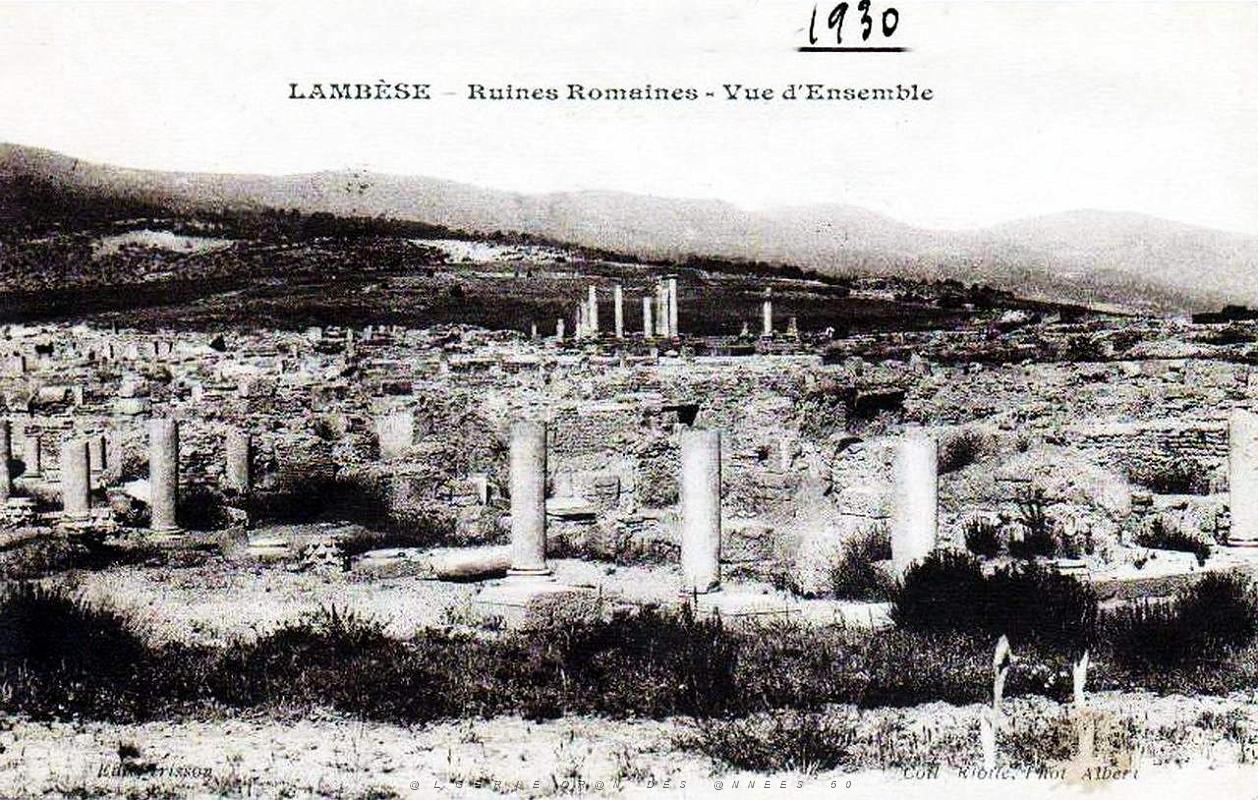 ALGERIE-RUINES ROMAINES DE LAMBESE (8).jpg